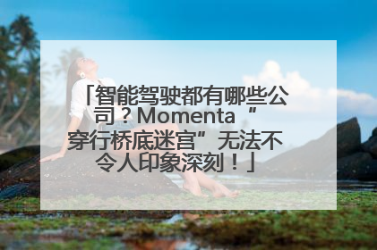 智能驾驶都有哪些公司？Momenta“穿行桥底迷宫”无法不令人印象深刻！