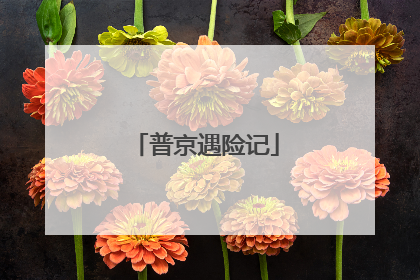 普京遇险记
