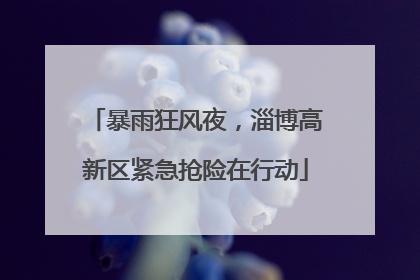 暴雨狂风夜，淄博高新区紧急抢险在行动