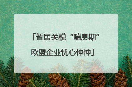 暂居关税“喘息期” 欧盟企业忧心忡忡