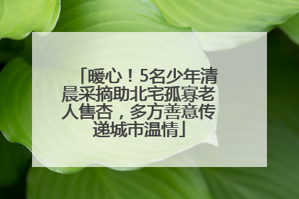 暖心！5名少年清晨采摘助北宅孤寡老人售杏，多方善意传递城市温情