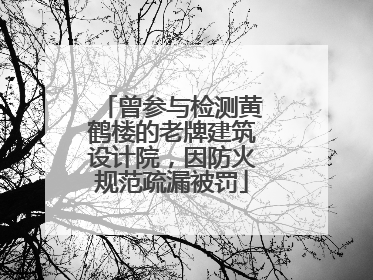 曾参与检测黄鹤楼的老牌建筑设计院，因防火规范疏漏被罚