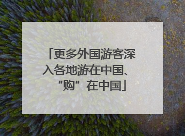 更多外国游客深入各地游在中国、“购”在中国