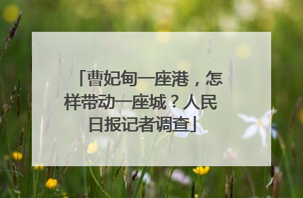 曹妃甸一座港，怎样带动一座城？人民日报记者调查