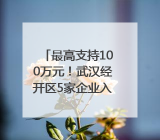 最高支持100万元！武汉经开区5家企业入选2025年度武汉市重点研发计划拟立项项目名单