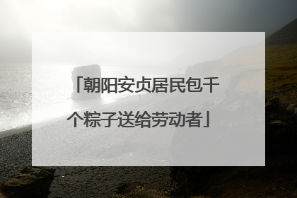 朝阳安贞居民包千个粽子送给劳动者