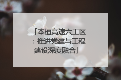 本桓高速六工区：推进党建与工程建设深度融合