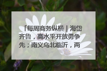 每周商务纵横｜海岱齐鲁，高水平开放勇争先；南义乌北临沂，两扇窗里观外贸