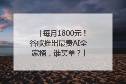 每月1800元！谷歌推出最贵AI全家桶，谁买单？