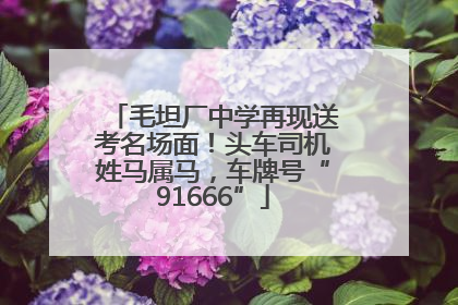 毛坦厂中学再现送考名场面！头车司机姓马属马，车牌号“91666”