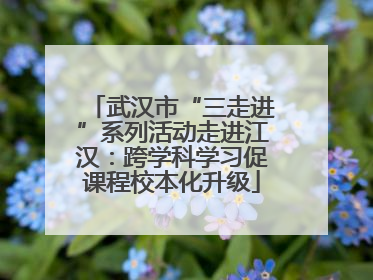 武汉市“三走进”系列活动走进江汉：跨学科学习促课程校本化升级