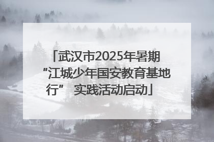武汉市2025年暑期“江城少年国安教育基地行” 实践活动启动