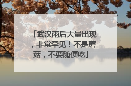 武汉雨后大量出现，非常罕见！不是蘑菇，不要随便吃