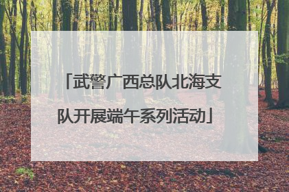 武警广西总队北海支队开展端午系列活动