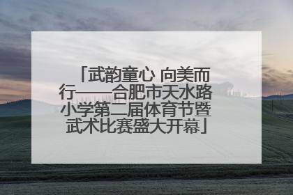 武韵童心 向美而行——合肥市天水路小学第二届体育节暨武术比赛盛大开幕