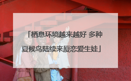 栖息环境越来越好 多种夏候鸟陆续来厦恋爱生娃