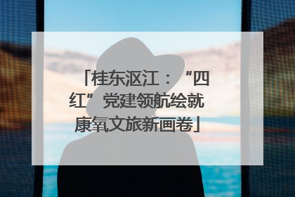 桂东沤江：“四红”党建领航绘就康氧文旅新画卷