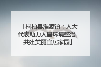 桐柏县淮源镇：人大代表助力人居环境整治 共建美丽宜居家园