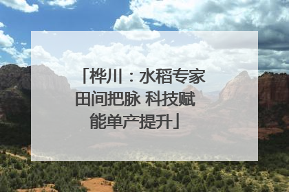 桦川：水稻专家田间把脉 科技赋能单产提升