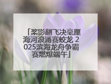 桨影翻飞决毫厘 海河浪涌赛蛟龙 2025滨海龙舟争霸赛燃爆端午