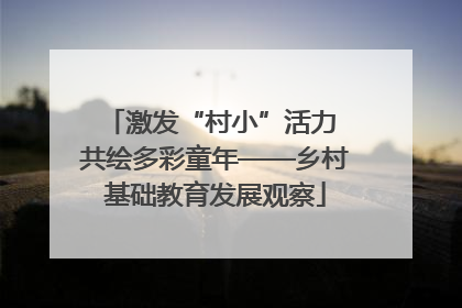 激发“村小”活力 共绘多彩童年——乡村基础教育发展观察