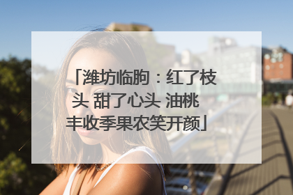 潍坊临朐：红了枝头 甜了心头 油桃丰收季果农笑开颜