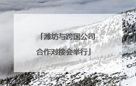 潍坊与跨国公司合作对接会举行