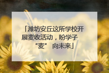 潍坊安丘这所学校开展麦收活动，盼学子 “麦” 向未来