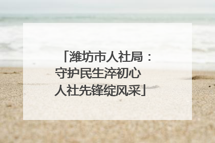 潍坊市人社局：守护民生淬初心 人社先锋绽风采