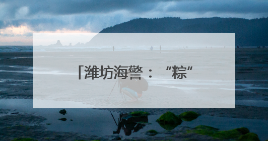 潍坊海警：“粽”享欢乐共度端午