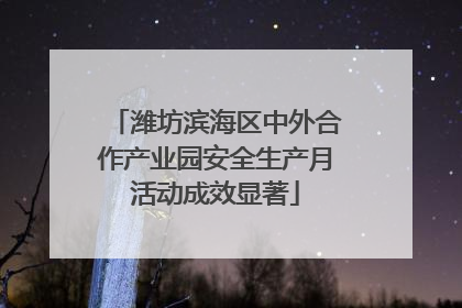 潍坊滨海区中外合作产业园安全生产月活动成效显著