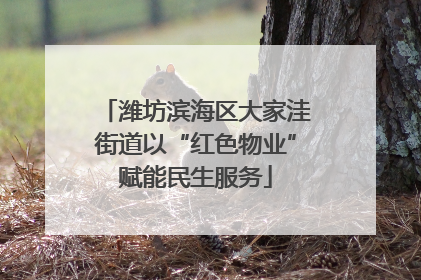 潍坊滨海区大家洼街道以“红色物业”赋能民生服务