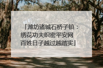 潍坊诸城石桥子镇：绣花功夫织密平安网 百姓日子越过越踏实