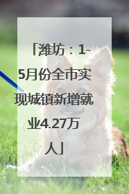 潍坊：1-5月份全市实现城镇新增就业4.27万人