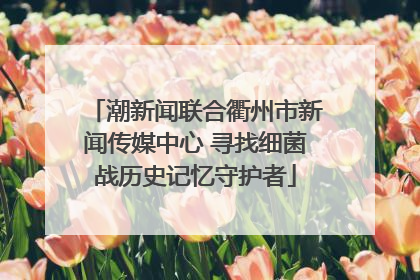 潮新闻联合衢州市新闻传媒中心 寻找细菌战历史记忆守护者