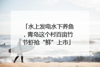 水上发电水下养鱼，青岛这个村百亩竹节虾抢“鲜”上市