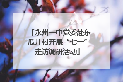 永州一中党委赴东瓜井村开展“七一”走访调研活动