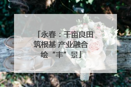 永春：千亩良田筑根基 产业融合绘“丰”景