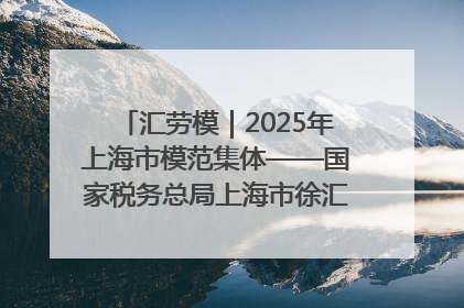 汇劳模｜2025年上海市模范集体——国家税务总局上海市徐汇区税务局第一税务所