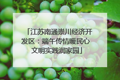 江苏南通崇川经济开发区：端午传情暖民心 文明实践润家园