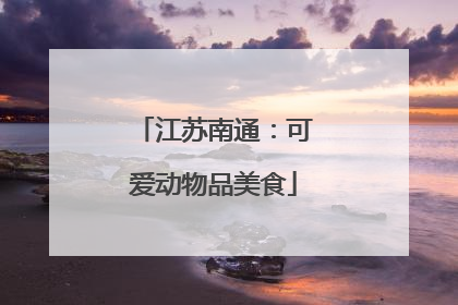 江苏南通：可爱动物品美食