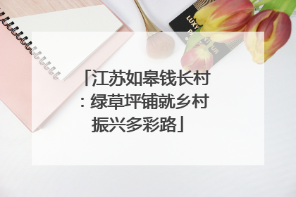 江苏如皋钱长村：绿草坪铺就乡村振兴多彩路