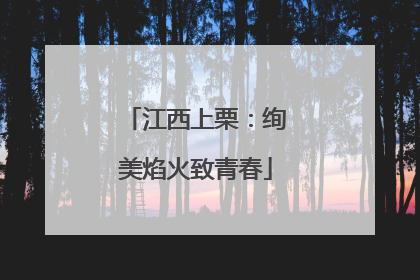 江西上栗：绚美焰火致青春