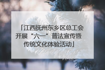 江西抚州东乡区总工会开展“六一”普法宣传暨传统文化体验活动