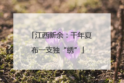 江西新余：千年夏布一支独“绣”