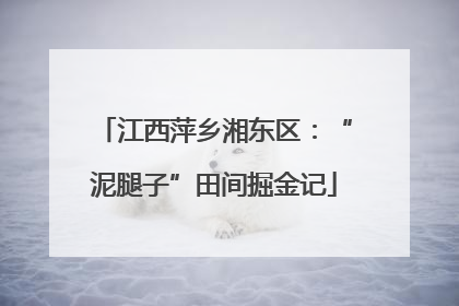 江西萍乡湘东区：“泥腿子”田间掘金记