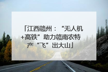 江西赣州：“无人机+高铁”助力赣南农特产“飞”出大山