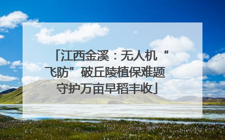 江西金溪：无人机“飞防”破丘陵植保难题 守护万亩早稻丰收
