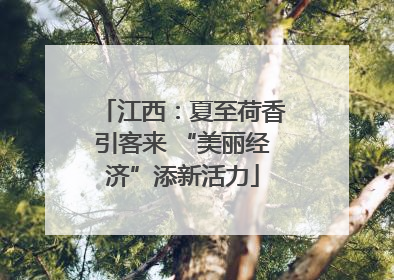 江西：夏至荷香引客来 “美丽经济”添新活力
