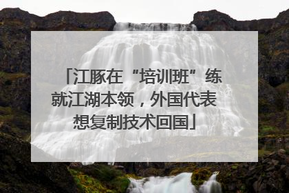 江豚在“培训班”练就江湖本领，外国代表想复制技术回国